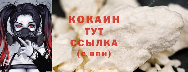 СК Верея