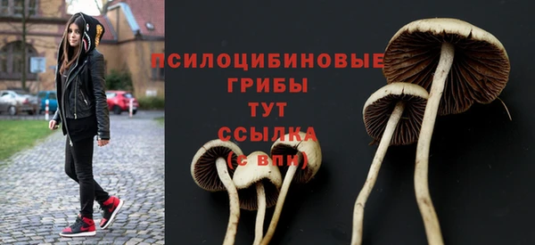 тгк Верхнеуральск