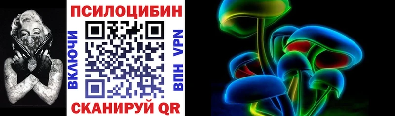 Галлюциногенные грибы Psilocybe  Новоржев 