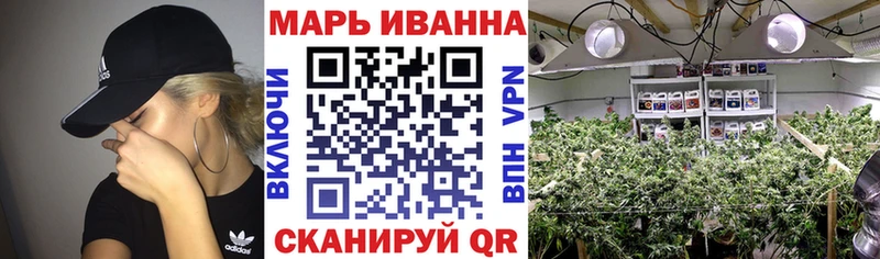 Каннабис гибрид  что такое   Новоржев 